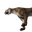 Icon mountainlion carcass.png