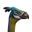 Icon pet Ostrich Blue