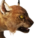 Island Lynx Cub (Pet) - Official Conan Exiles Wiki