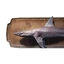 Icon dogfish trophy