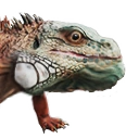 Icon pet lizard hatchling