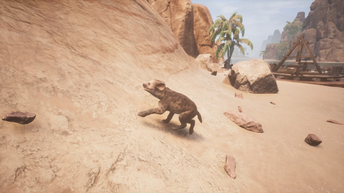 Spotted Hyena Cub Official Conan Exiles Wiki