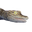 Icon baby Crocodile.png