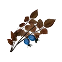 Icon dye ingredient true indigo