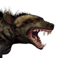 Icon for Pet Hyena