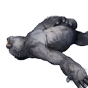 Icon greyApe carcass