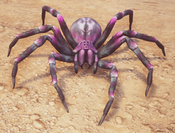 PetCorruptedSpider1