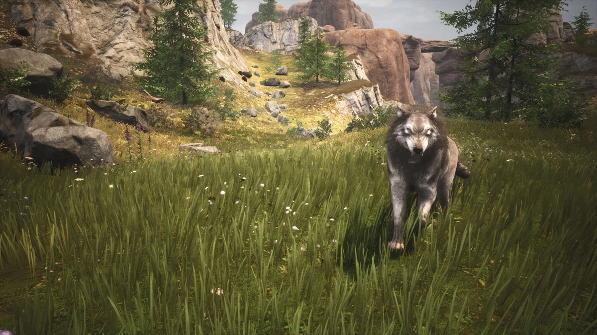 Wolf Official Conan Exiles Wiki