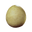 Icon baby locust egg.png