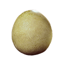 Sandechsen-Ei