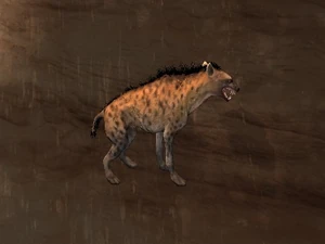 Hyena