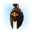 Icon Aquilonian Medium helmet.png