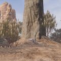 Salaceo's chest at the base of the mighty tree