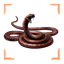 Venomous Snake