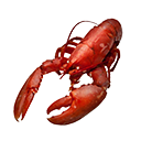 Icon cookedGoodShellFish