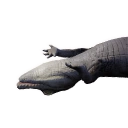 Icon baby crocodile carcass