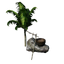 Simple water capture