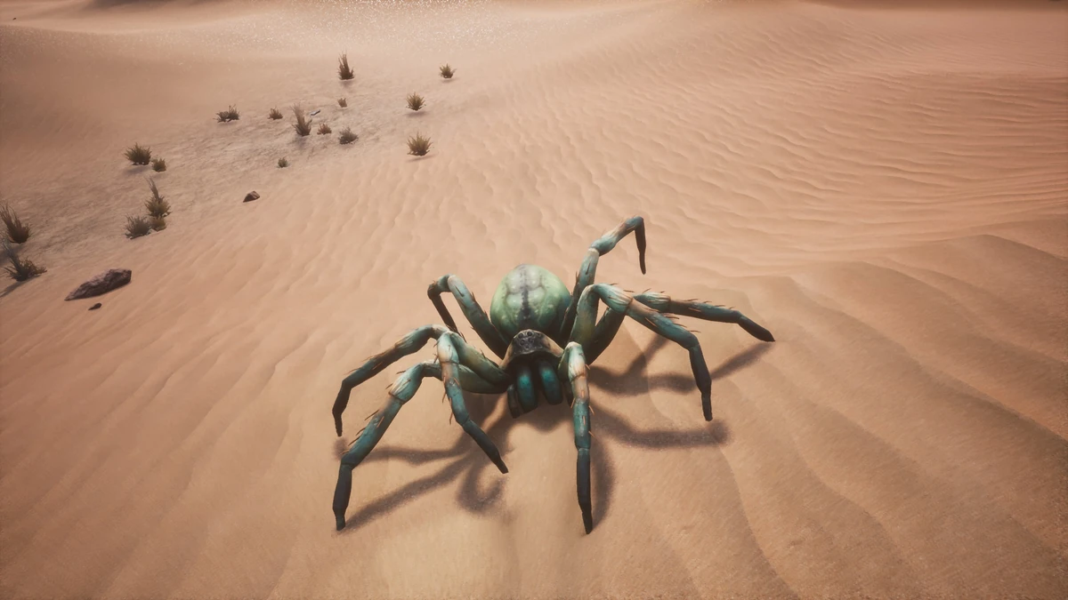 Гигантский паук конан экзайл. Conan exiles пауки. Conan exiles пауки. Гигантский паук конан экзайл. Conan exiles пауки.
