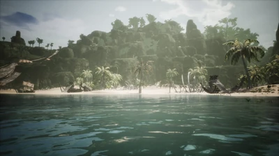 A view over the beach with the wrecks and giant bones.