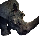 Rinoceronte Enorme