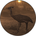 Icon Creatures 1.png