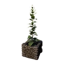 Decorative Planter (Leavening) - Official Conan Exiles Wiki