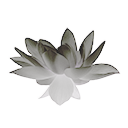 Frost Lotus Flower