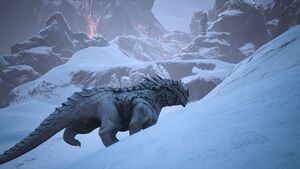 Drago bianco