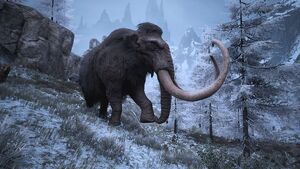 Mammut
