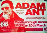 Adamant20395