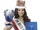Miss Internacional 2009