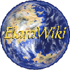 Elarawiki