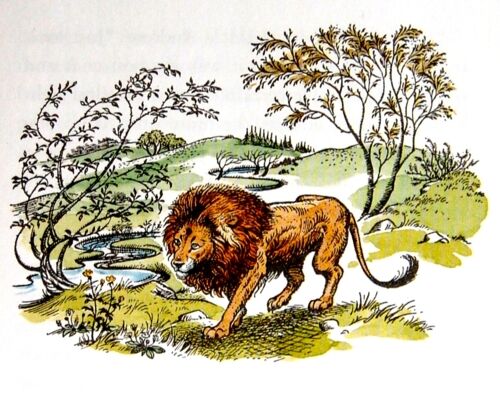 Chronicles of Narnia Aslan he's Not a Tame 