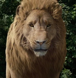 I know that Aslan is much more than that, but at the same time