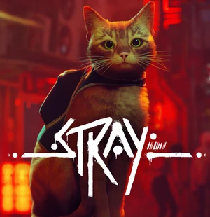 Banner-stray
