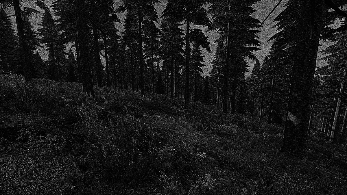 Baker Forest Confederate Conquest Central Wiki Fandom