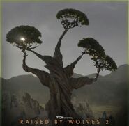 RBW S2 Promotional Poster of The Tree