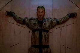 RBW206The TreePromotional Image01