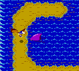 Shark