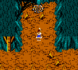 The Mysterious Cave
