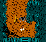 Giant Spider