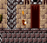 The torch in Conker's Pocket Tales.