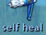 Self Heal