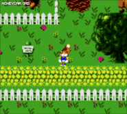 Conker - Stomping.gif (1.17 MB) Conker stomping in Conker's Pocket Tales.