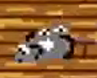 Raton de cuerda