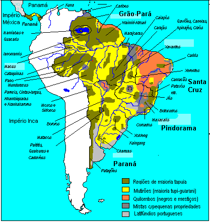 Novo Dicionário Tupi Nheengatu