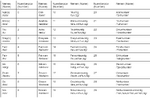 Current Number System