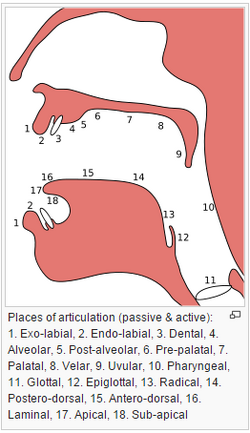 Places of articulation