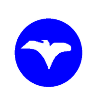 Country of spirit flag.png