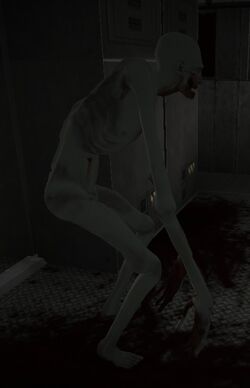 Be carefull, scp-096 running into a house